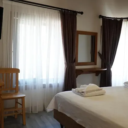 Pikan Ephesus 塞尔丘克