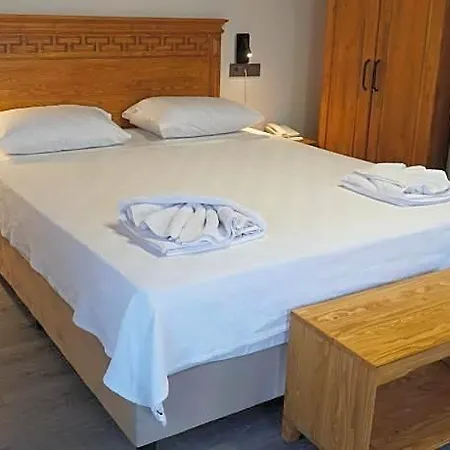 Pikan Ephesus Selçuk